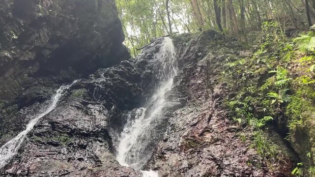 滝