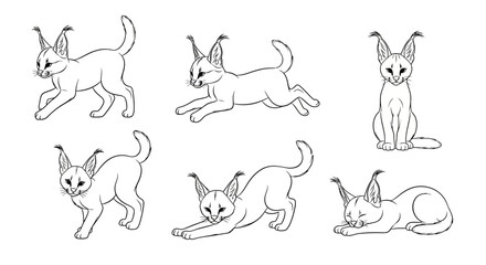 Fototapeta premium Set of cute Caracal kitten line art illustrations in various poses
