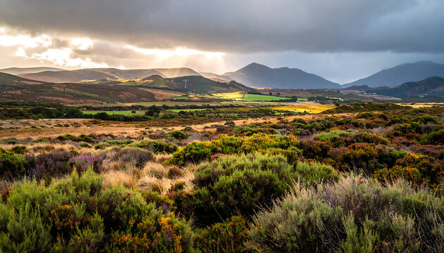 Dramatic Sunbeams Pierce Stormy Clouds Over Rugged Scottish Highlands Landscape with Heather and Gorse