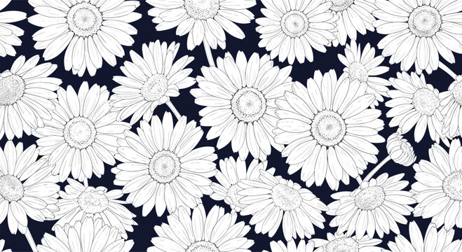 Seamless white daisy flower pattern on dark navy blue background for elegant textile or wallpaper design.
