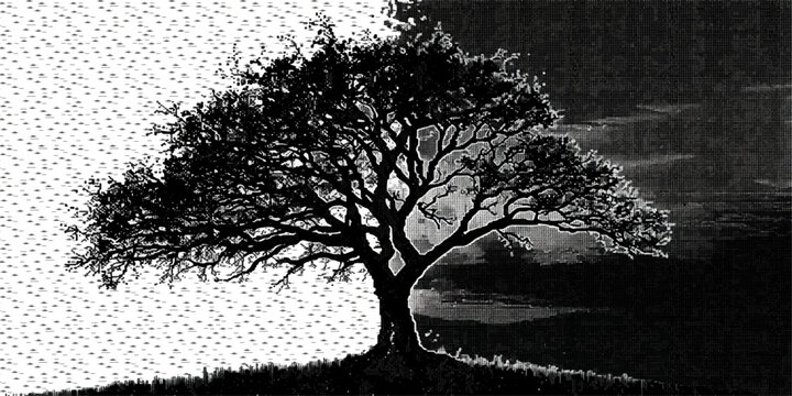 Black and white winter forest landscape with snow and bare tree branches silhouette