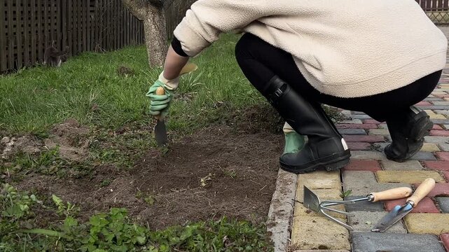 a young woman in warm sweatshirt and black pants wearing dark rubber boots is gardening in gloves with a hand trowel in the yard