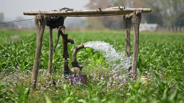 Dhangadhi, Nepal - 19 May 2026: View of a water pump gushing water into a lush green agricultural field under a simple wooden shelter.
