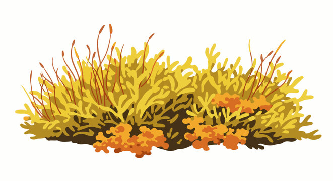 A textured illustration of yellow and orange lichens with thin brown stalks