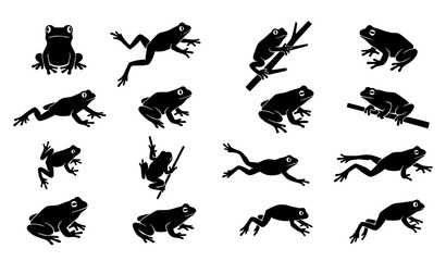 Minimal Frog Silhouette Collection in Various Poses Vector Wildlife Amphibian Set Isolated on White Background © Md Humaun