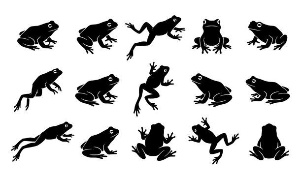 Set of Frog Silhouettes in Jumping and Sitting Poses Minimalist Vector Illustration Isolated on White Background