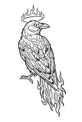 Obraz premium Raven with Flaming Halo and Fire Tail Black and White Coloring Page
