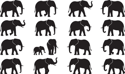 Elephant silhouette collection with wildlife animal icons and vector safari mammal illustration set © MdHaberar