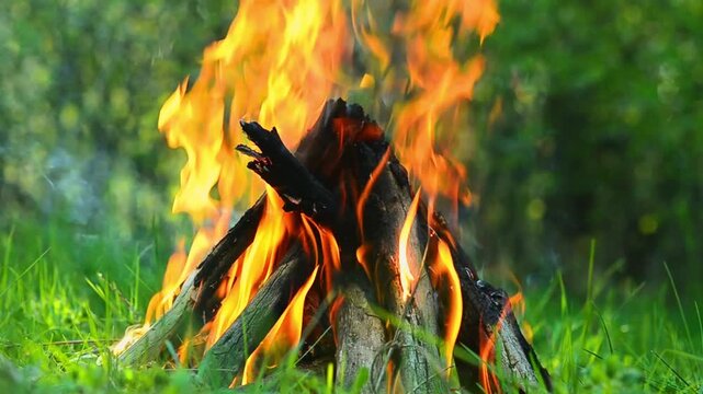 Bright tipi style campfire burning with hot orange flames on a green meadow, close up of traditional teepee bonfire made of wooden branches in summer forest during daytime, peaceful outdoor lifestyle