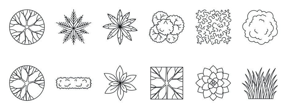 Architectural tree and plant symbols for landscape design, a collection of black line art icons showing a top-down plan view of various foliage for site mapping and garden layouts