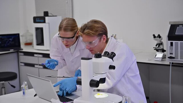 Professional Colleague Team Analyze Biology Sample With Microscope In Lab