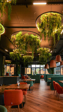 Modern restaurant interior with hanging plants and vibrant seating