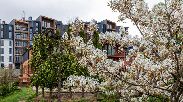 Modern apartment buildings under construction with blooming trees in the foreground