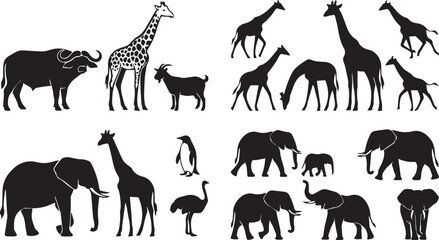  Safari wildlife animal silhouette collection with elephants giraffes buffalo and African fauna vector set © MdHaberar