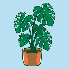 Cartoon vector illustration of a potted Monstera deliciosa plant © FXX Project Gallery