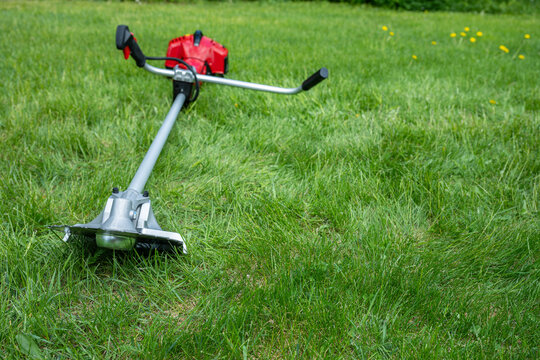 Cordless brushcutter resting on green lawn outdoors