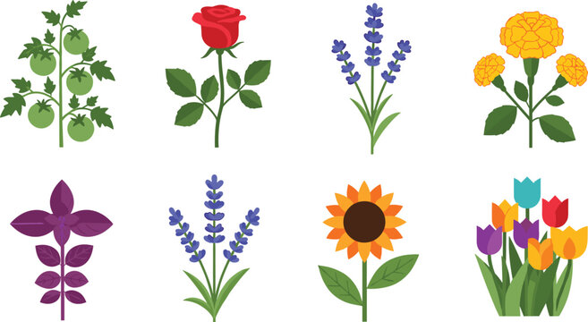 Colorful Cartoon Garden Flower and Plant Icon Set with Rose, Lavender, Sunflower, Tulip, Marigold and Herb Elements for Nature, Botanical, and Spring Garden Designs