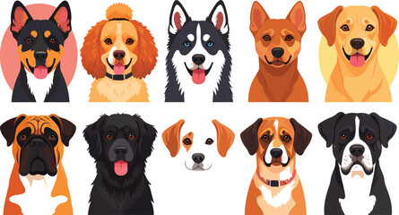  Cute Cartoon Dog Breed Faces Collection Featuring Husky, Labrador, Boxer, Spaniel and More Flat Vector Illustration © kolpona