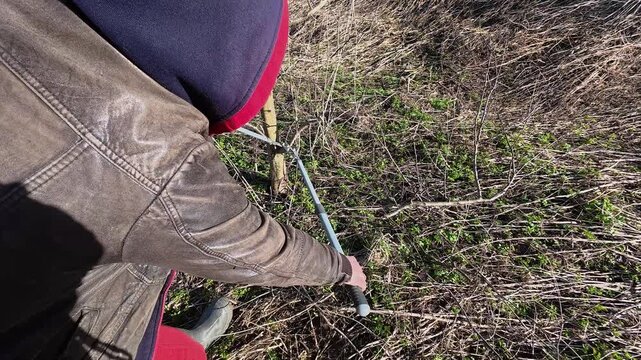 Person pruning fruit tree branches with hedge shears against a bright blue sky, likely in autumn, winter or spring. Garden health care. Gardening work. Man trimming trees in orchard. Pollarding work.