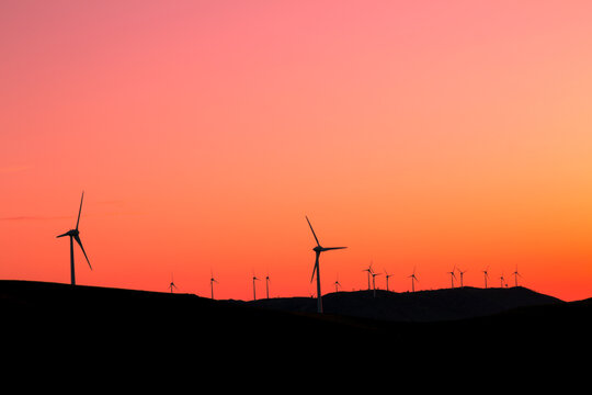 Where the Wind Meets the Sunset