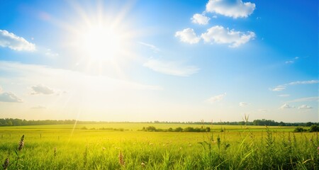 Obraz premium Summer bright sun. 