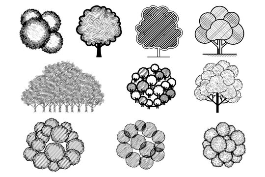 Forest Tree Canopy Hatch Pattern Vector Set for Landscape Architecture Plans