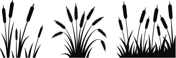 Cattail Grass silhouette vector illustration, Black Nature Plant with Marsh Vegetation, Wild Reed Bush and Swamp Coastal Plants for Landscape design. © HossenMuhammod MunnA