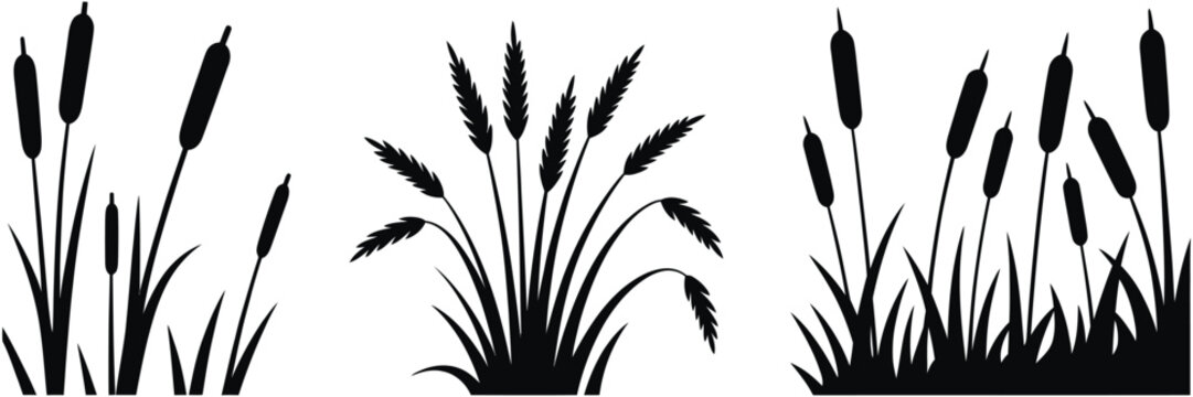 Cattail Grass silhouette vector illustration, Black Nature Plant with Marsh Vegetation, Wild Reed Bush and Swamp Coastal Plants for Landscape design.