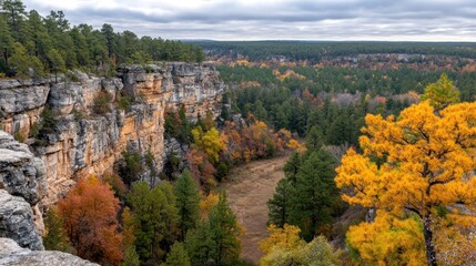 Obraz premium Autumn landscape with trees and canyon view