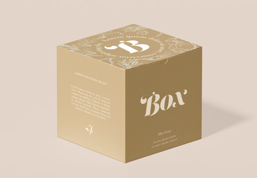 Isolated Box Prespective View