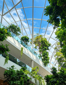 Indoor Oasis: Lush greenery and abundant natural light fill a modern atrium, creating a vibrant indoor sanctuary. Generative AI.