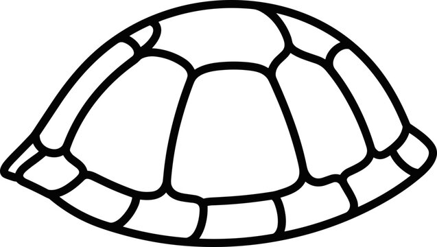 Simple Outline Drawing of a Turtle Shell