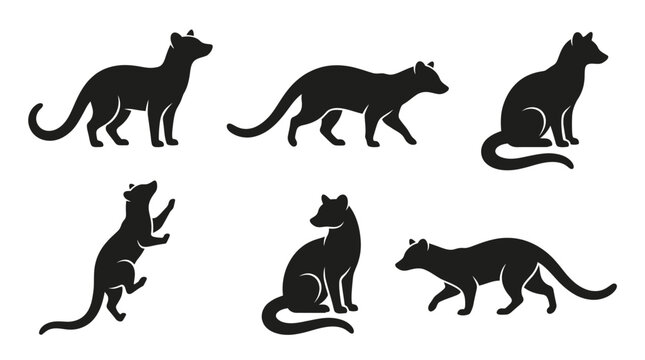 different black civet silhouettes on a clean white background, minimalist vector style.