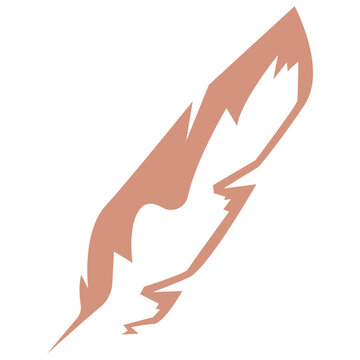 Soft Light Feathers From Birds