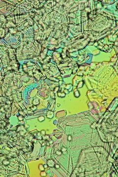 Sodium hydroxide crystals at 20x under polarized microscopy