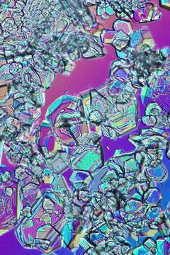 Sodium hydroxide crystals at 50x under polarized microscopy