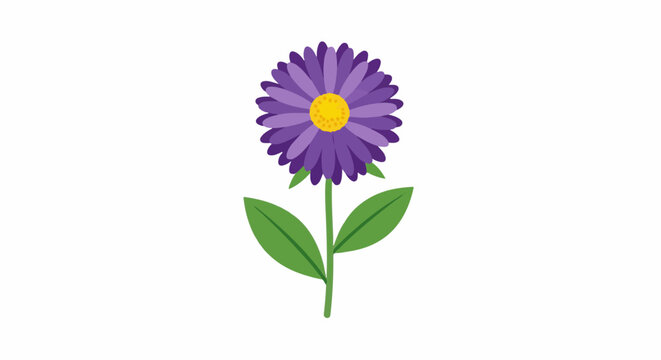 A vibrant purple aster with a yellow center and green leaves