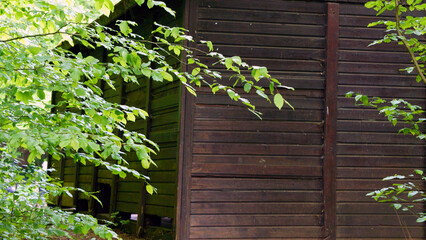 A brown wooden gazebo stands in a lush summer forest, surrounded by tall green trees and vibrant undergrowth. The rustic structure features a classic design with open sides, providing a cozy shelter a © Василий Канин