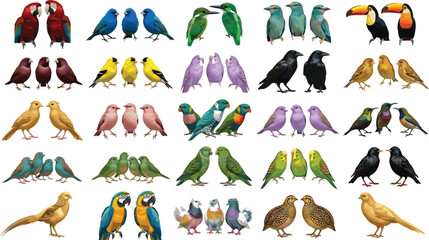 Comprehensive ornithology vector illustration set featuring diverse wild bird species lovebirds macaws canaries and pigeons in small groups isolated on a plain white background © Fahim