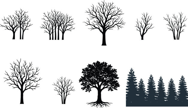 Black tree silhouettes and forest vector set featuring bare winter branches leafy oak and pine treeline isolated on white