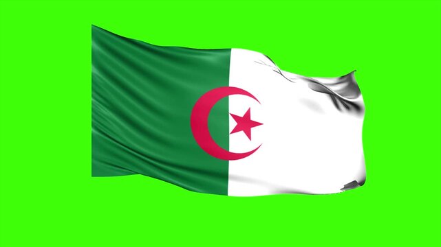 Looping ALGERIA Flag Animation on Green Screen, Waving ALGERIA Flag Isolated PNG Video