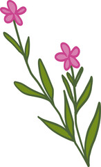 Obraz premium Fireweed Wild Flower