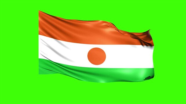 Looping NIGER Flag Animation on Green Screen, Waving NIGER Flag Isolated PNG Video