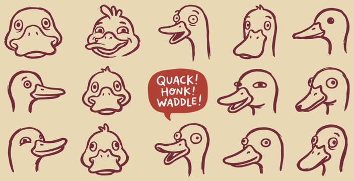 Collection of cartoon duck heads in various expressions and poses, with speech bubble saying Quack Honk Waddle.