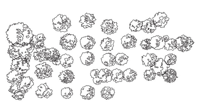 Set of hand drawn tree top view elements for landscape architectural plan design projects.
