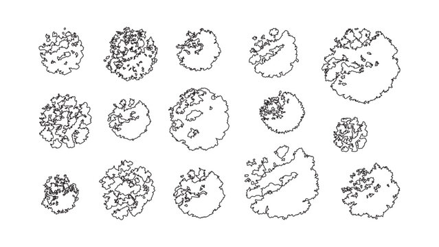 Collection of different tree top view illustrations for landscape architecture drafting.