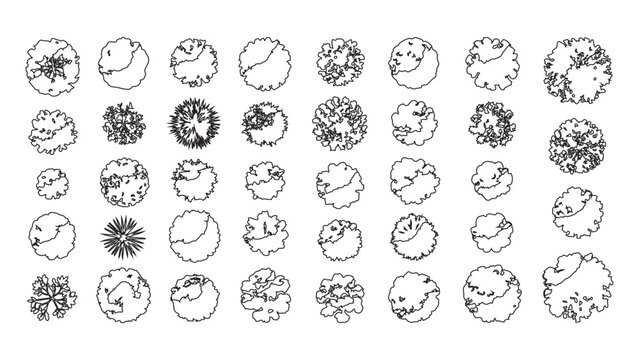 Comprehensive set of tree top view symbols for architectural rendering and design plans.