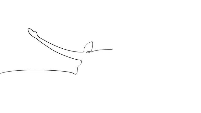 Plesiosaurus marine reptile line art animation in progressive continuous line style