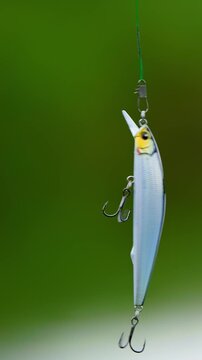 The bait for predatory fish hangs in the air. High quality 4k footage