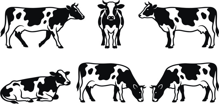 Holstein Friesian Cow Silhouette Vector Collection with Various Farm Animal Poses Including Grazing Lying Down and Standing for Dairy Agriculture and Organic Livestock Ranch Branding